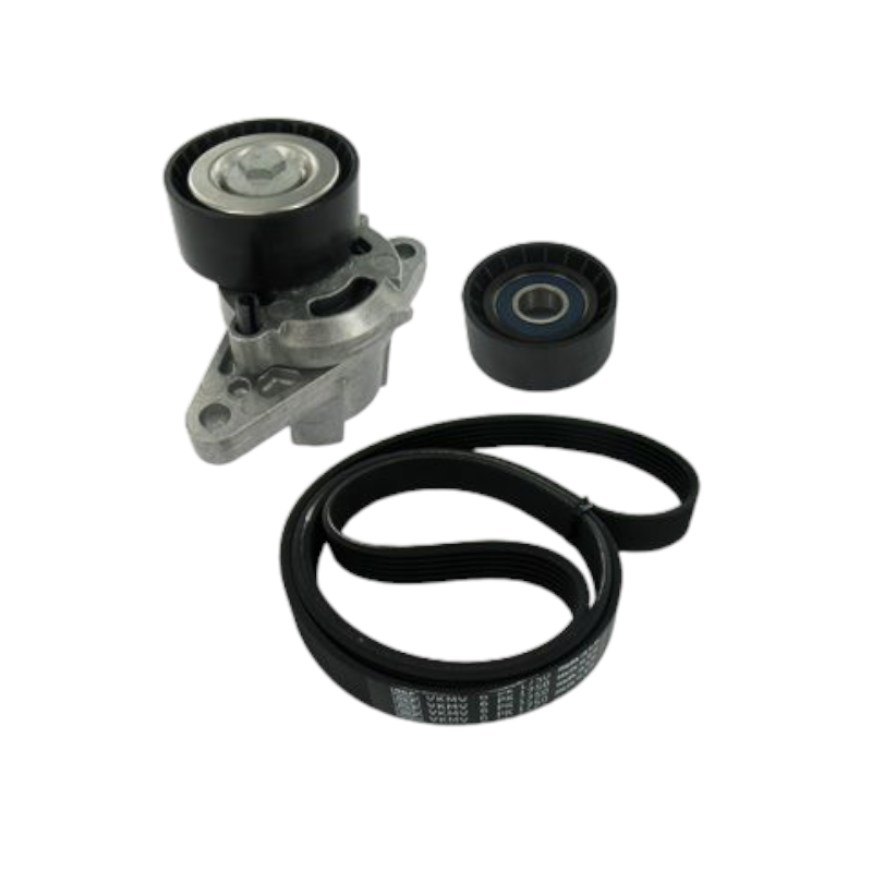 KOMPLET PASKA WIELOROWKOWEGO SKF VKMA36209 RENAULT 1.4-1.6 97-12