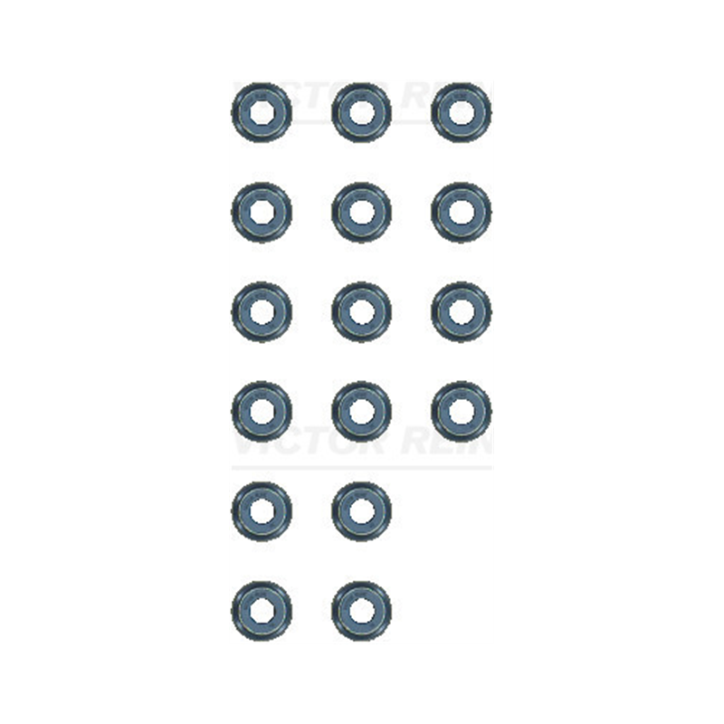 KOMPLET USZCZELNIACZY ZAWOROWYCH VICTOR REINZ 12-13109-01 SSANGYONG 1.6 15-