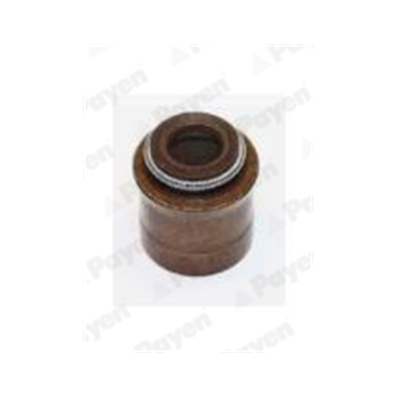USZCZELNIACZ ZAWOROWY PAYEN PA387 DH 1.0 83-99