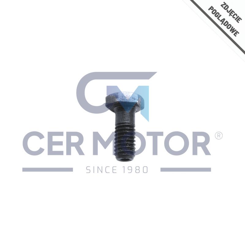ŚRUBA DYSZY OLEJOWEJ MV PARTS 2314F001 PERKINS 1204E-44TA