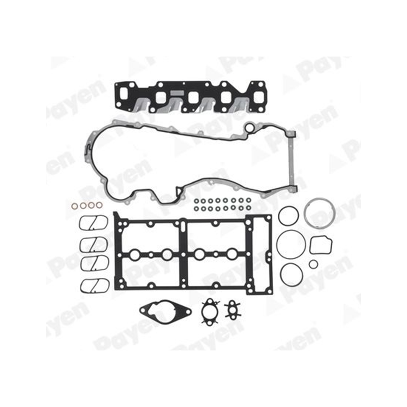 KOMPLET USZCZELEK GŁOWICY PAYEN CD5821  FIAT 1.3JTD 10-