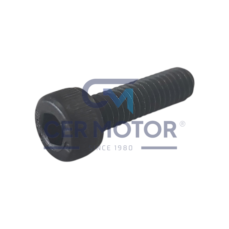 ŚRUBA TURBOSPRĘŻARKI CER A16779 CT9