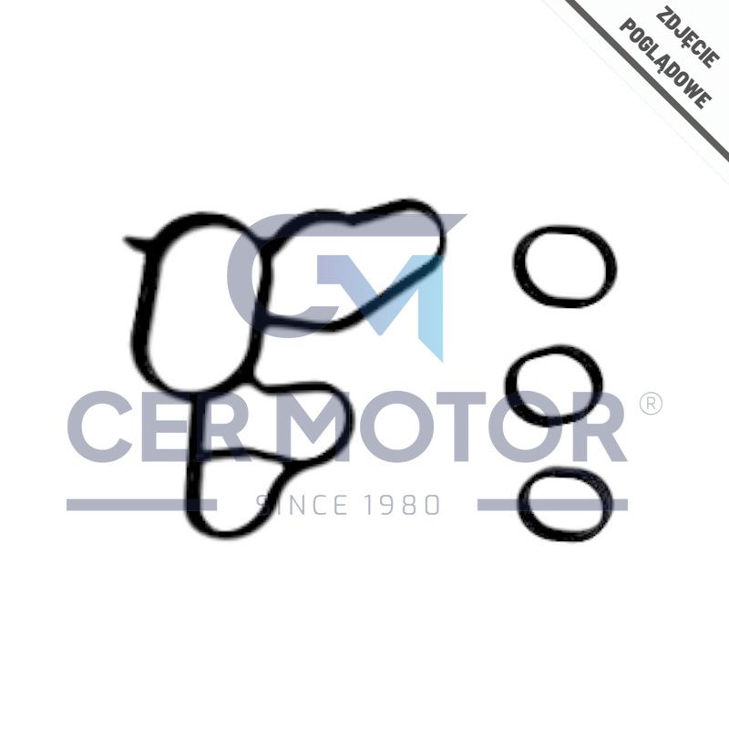 KOMPLET USZCZELEK CHŁODNICY OLEJU AJUSA 77069100 PSA 3.0HDI 09