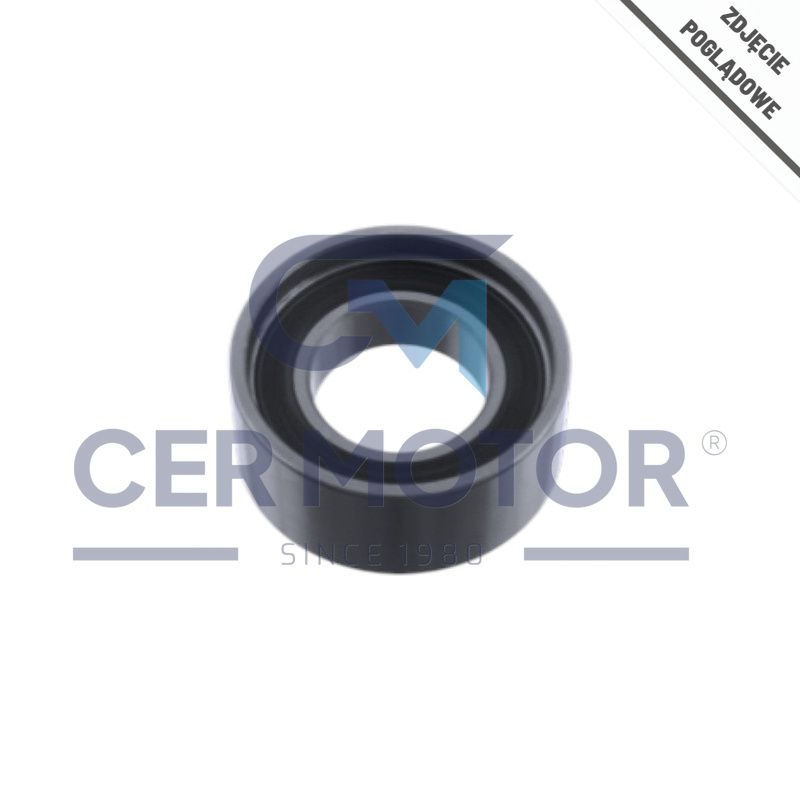 NAPINACZ PASKA INA 531037010 CHRYSLER . FORD 00,F01 93-