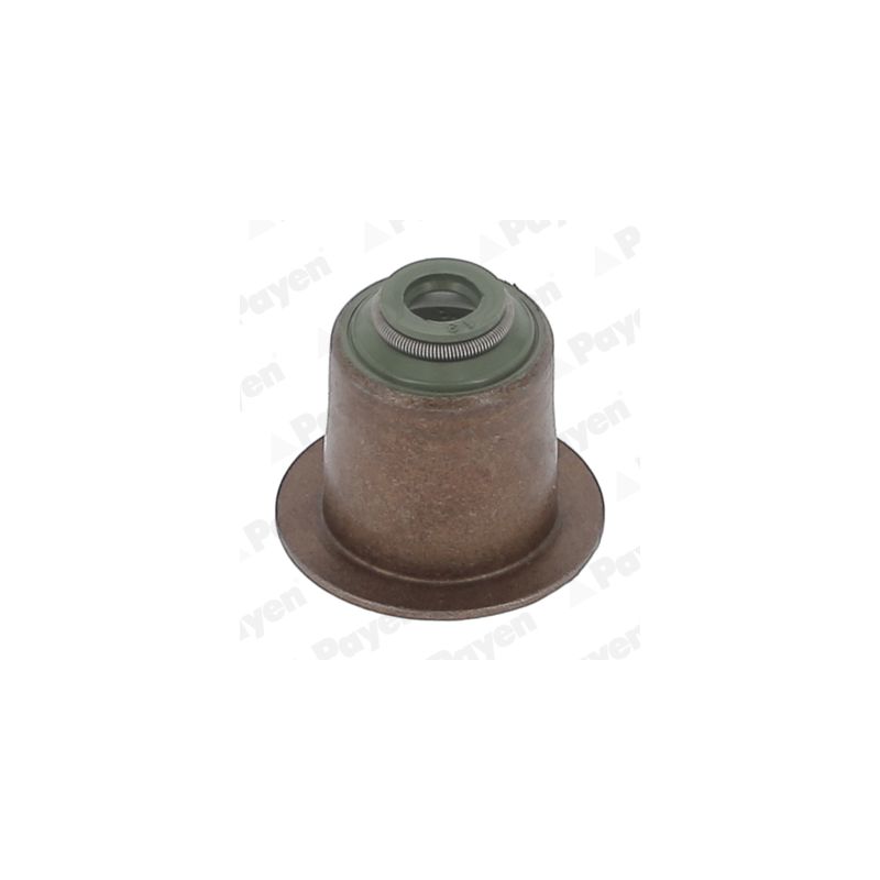 USZCZELNIACZ ZAWOROWY PAYEN PA6095<5030724070> BMW 2.0-4.0TD 98-