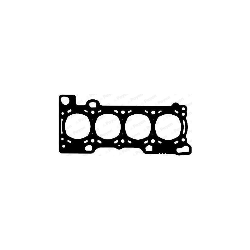 USZCZELKA GŁOWICY PAYEN AB5740 FIAT 2.3JTD 02-