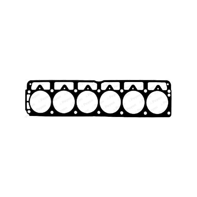 USZCZELKA GŁOWICY PAYEN AC5610 JEEP 4.0 87-95