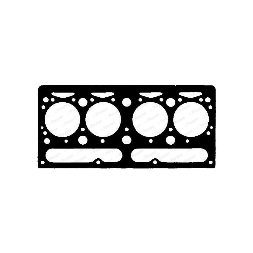 USZCZELKA GŁOWICY PAYEN AE920 PERKINS D4.203