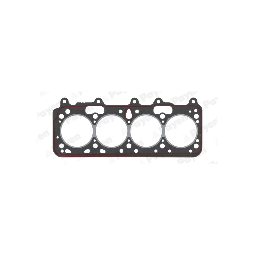 USZCZELKA GŁOWICY PAYEN BT240 FIAT 1.9TD 2otw 87-92