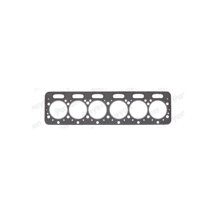 USZCZELKA GŁOWICY PAYEN AY020 IVECO 8360.46 91-