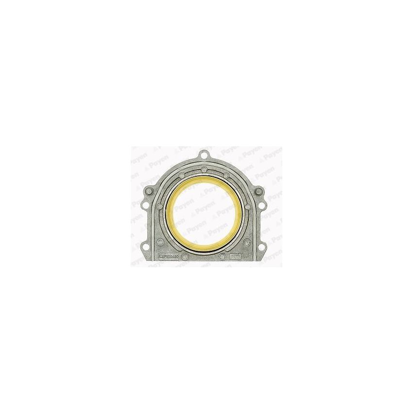 USZCZELNIACZ WAŁU TYŁ SIMMERRING PAYEN LK5002 ROVER 2.0-2.5TD 95-