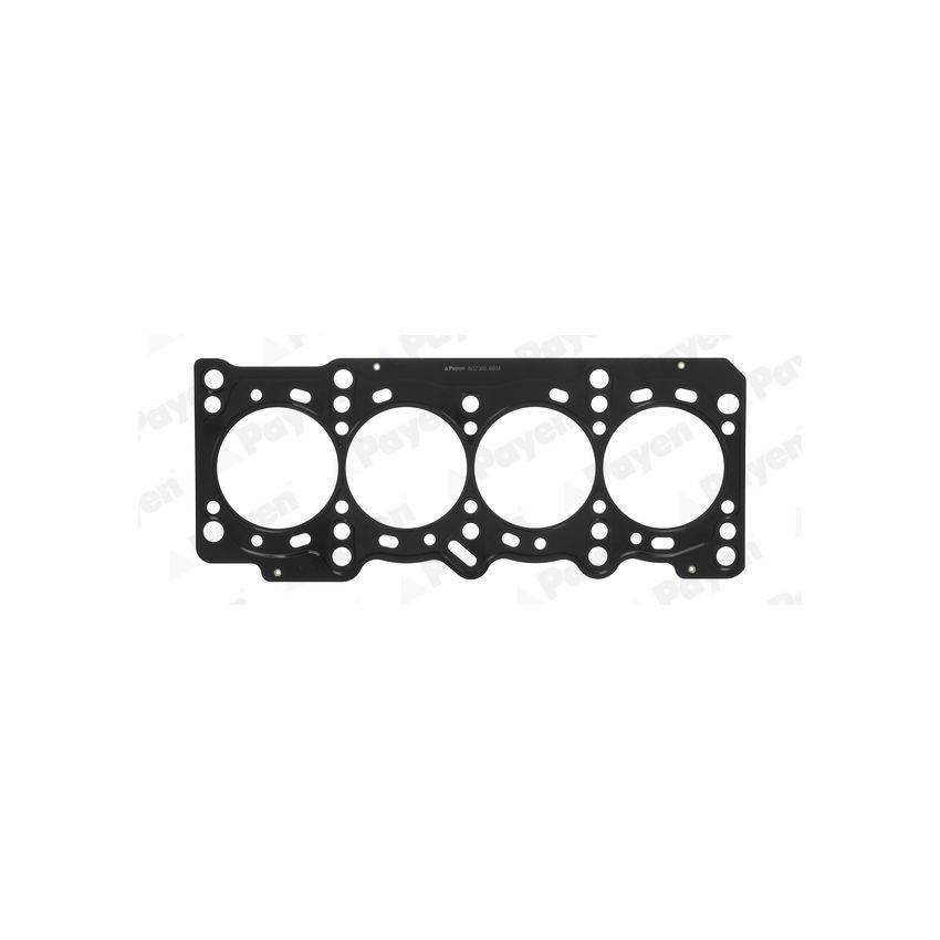 USZCZELKA GŁOWICY PAYEN AG7380 FIAT 1.4 05-