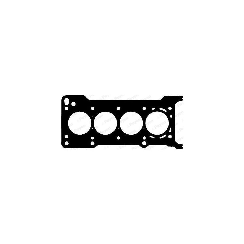 USZCZELKA GŁOWICY PAYEN AG8170 MAZDA 1.6 03-