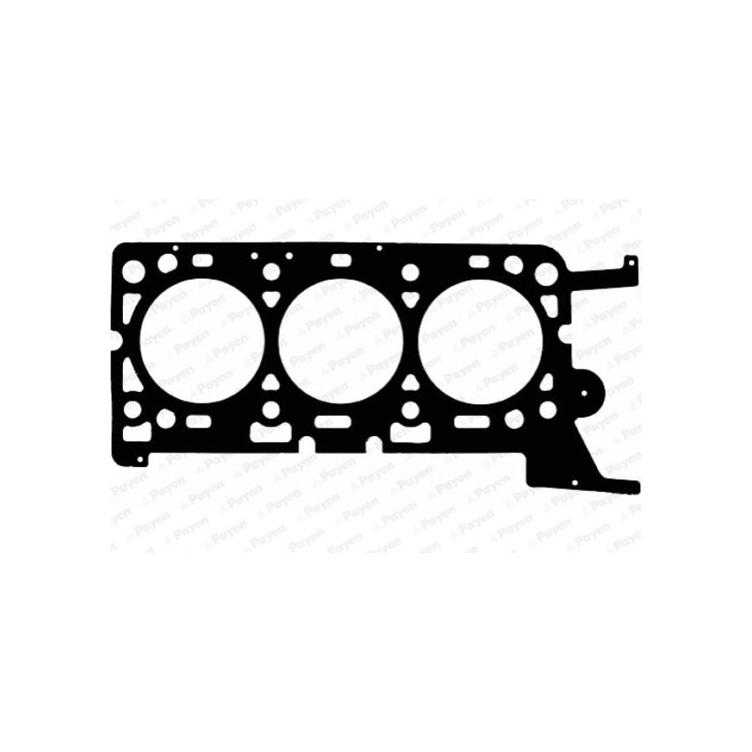 USZCZELKA GŁOWICY PAYEN AC5400 JAGUAR 3.0 01-