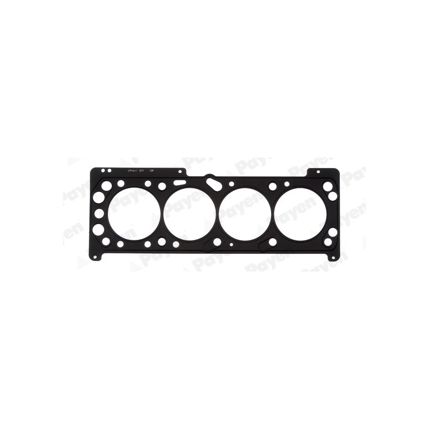 USZCZELKA GŁOWICY PAYEN AB5540 OPEL 1.6 00-