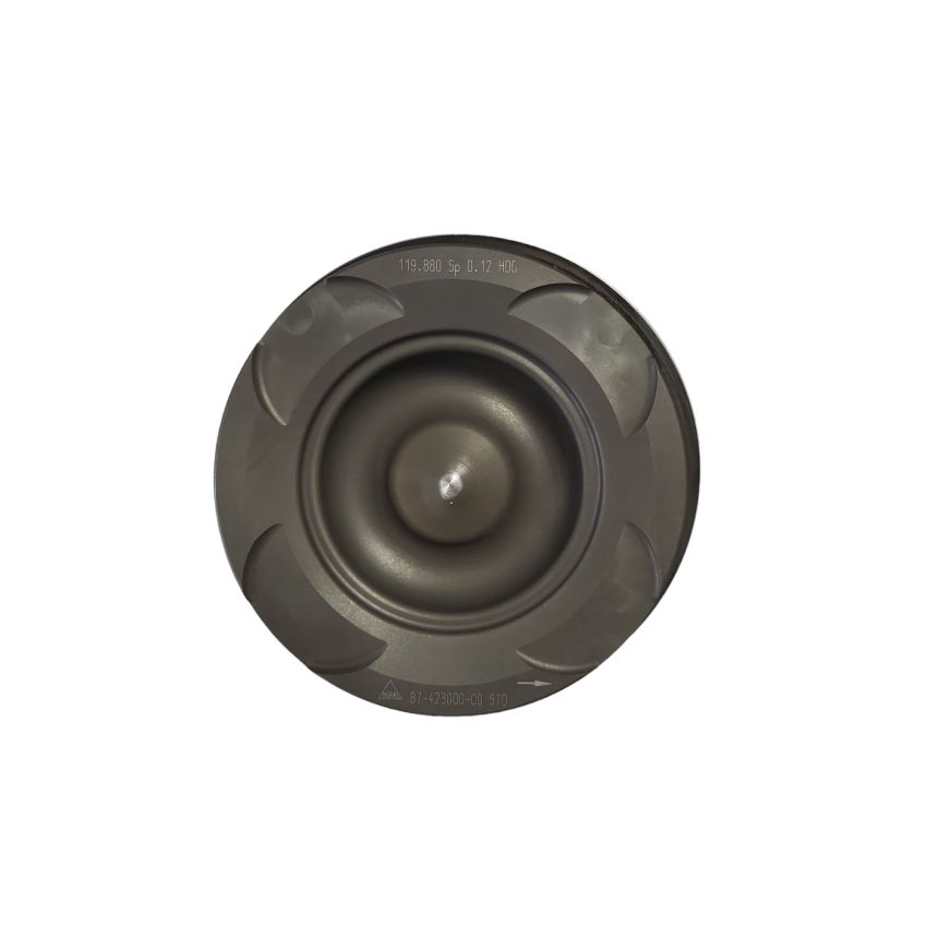 TŁOK GOETZE 8742300000 STD MAN D2066 04-