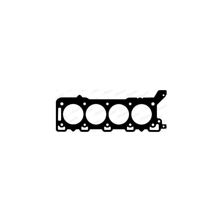USZCZELKA GŁOWICY PAYEN AD5600 ROVER 4.4 05-