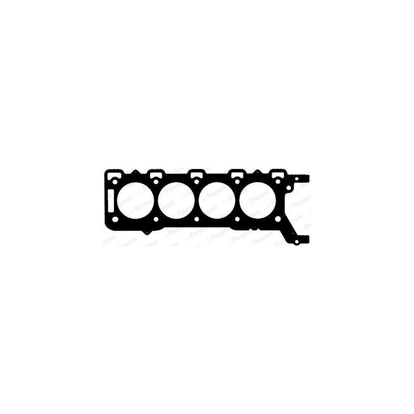 USZCZELKA GŁOWICY PAYEN AD5610 ROVER 4.4 05-
