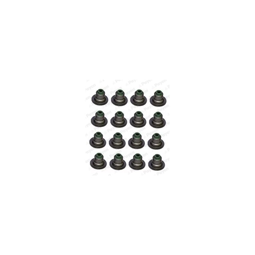 KOMPLET USZCZELNIACZY ZAWOROWYCH PAYEN HR5082 FORD 2.0TDCI 00-