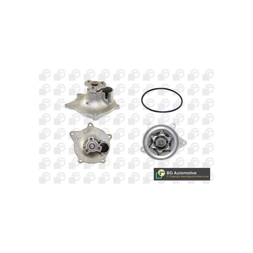 BGA CP14252 POMPA.WD CHR 3.3-3.8 V6 90-95
