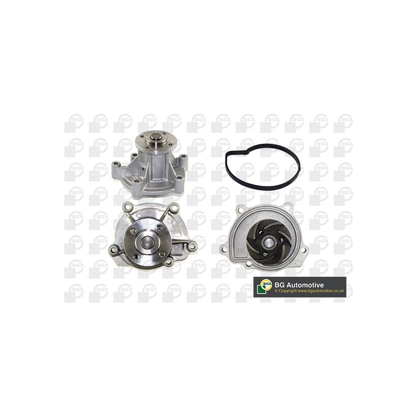 BGA CP3196 POMPA.WD M 1.4-1.9 M166 M668 97-04
