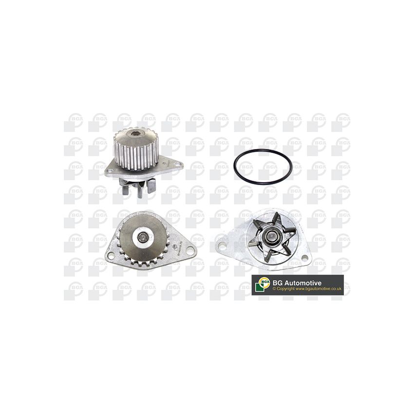 POMPA WODY BGA CP2424 PSA 0.95-1.4B+D