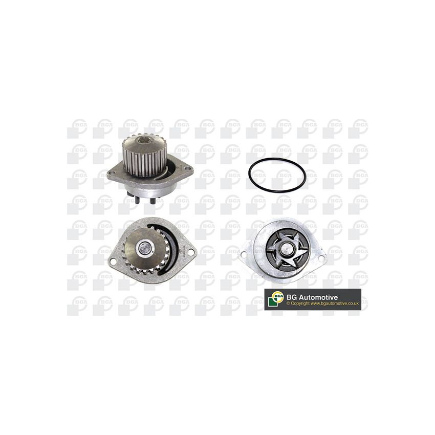 POMPA WODY BGA CP2838 PSA 0.95-1.6 106