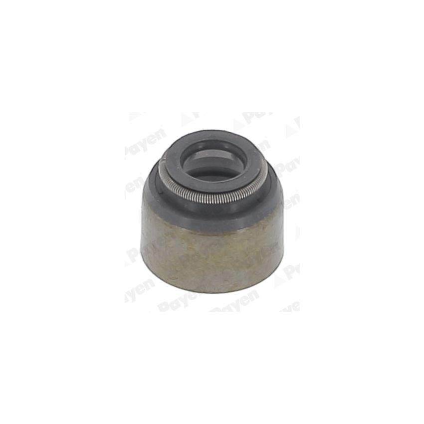 USZCZELNIACZ ZAWOROWY PAYEN PA6092 NISSAN 1.0-4.8 82-10