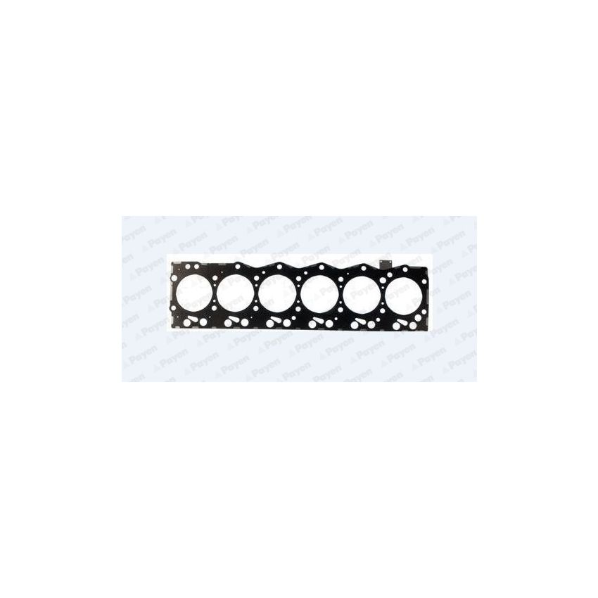 USZCZELKA GŁOWICY PAYEN AG9520 DAF CE136C 01-