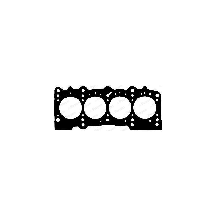 USZCZELKA GŁOWICY PAYEN AG6220 FIAT 16V 1.4 06-