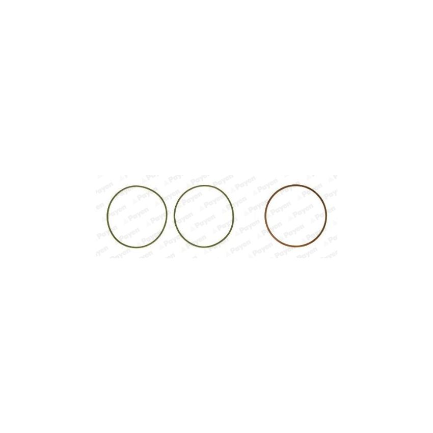 USZCZELKA TULEI PAYEN HT5038 MERCEDES OM501 96-