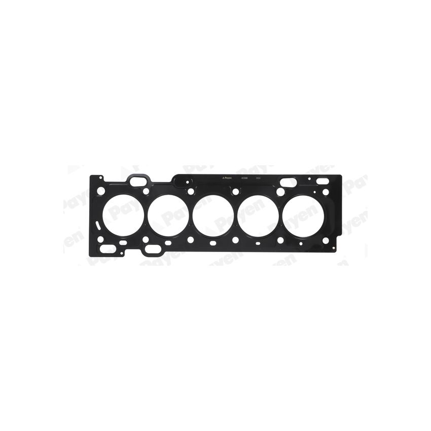 USZCZELKA GŁOWICY PAYEN AE5560 VOLVO 2.5 04-
