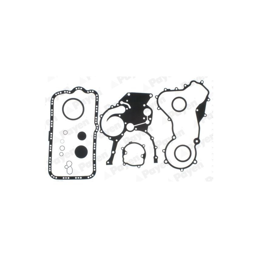 KOMPLET USZCZELEK BLOKU PAYEN EE5220 RENAULT 2.2 DCI 05-