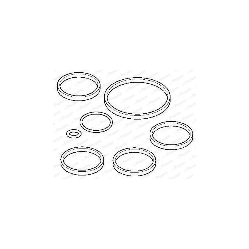 KOMPLET USZCZELEK KOLEKTORA SSĄCEGO PAYEN HA5053 FIAT 1.2-1.4 02-
