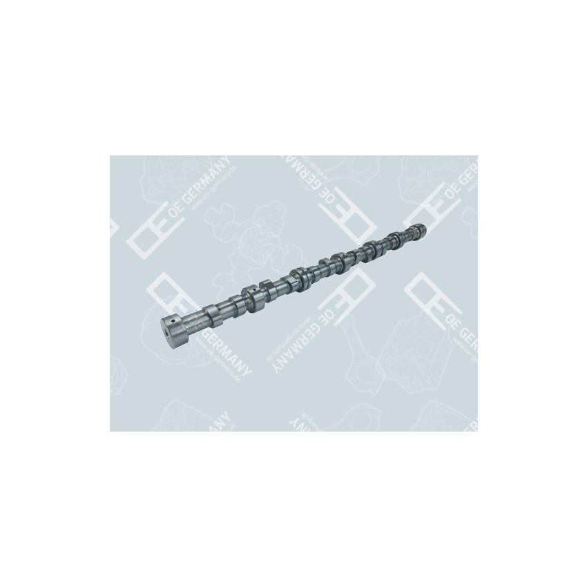 WAŁEK ROZRZĄDU OE GERMANY 060500XF9500 DAF XE390 -