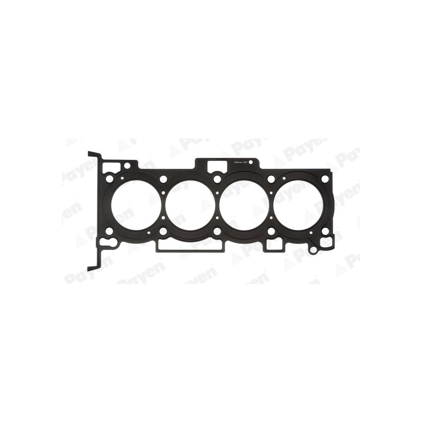 USZCZELKA GŁOWICY PAYEN AH6310 KIA 16V 2.0 05-07
