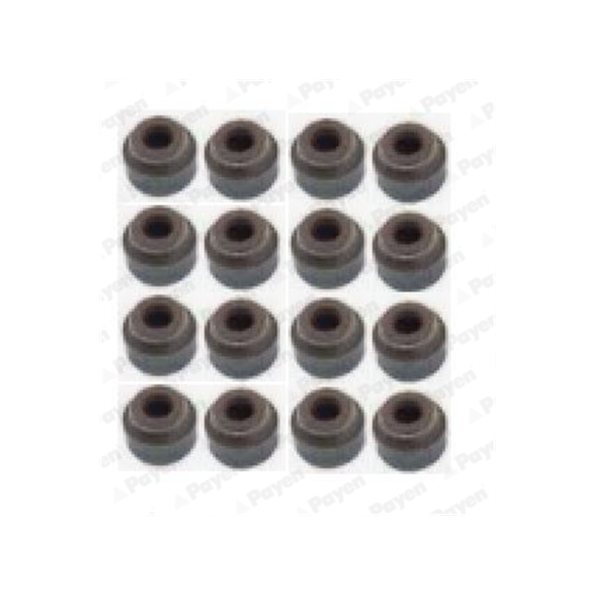 KOMPLET USZCZELNIACZY ZAWOROWYCH PAYEN HR5076 VOLVO 1.6-2.9 95-