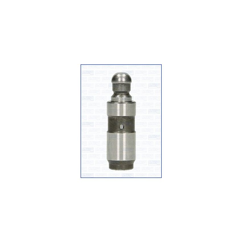 POPYCHACZ ZAWOROWY AJUSA 85017600 BMW V8 3.5-6.0 01-