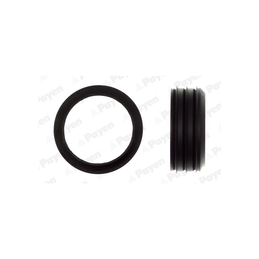 USZCZELKA KOLEKTORA SSĄCEGO PAYEN JD6006 VW 1.6L 02-08