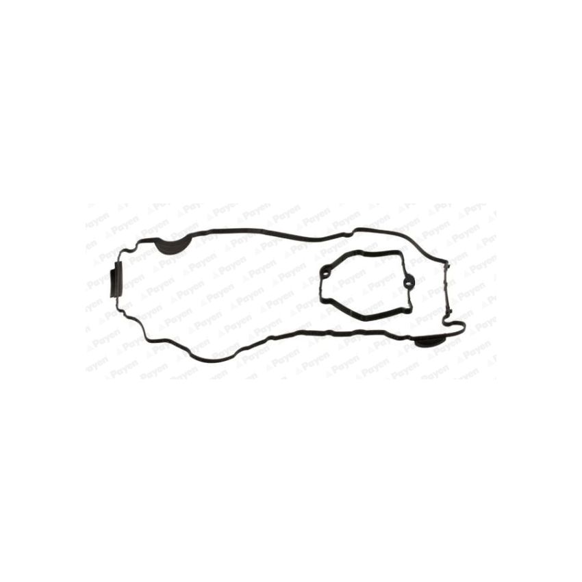 KOMPLET USZCZELEK POKRYWY ZAWORÓW PAYEN HM5368 BMW 2.0 03-