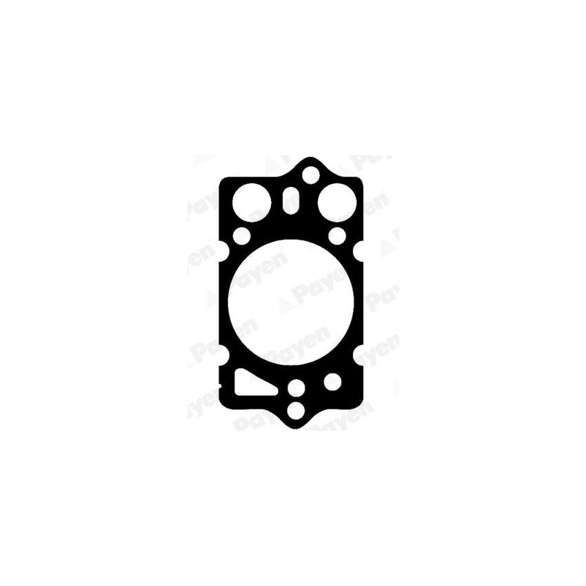 USZCZELKA GŁOWICY PAYEN BP260 ALFA ROMEO 1.8TD-2.5TD 79-98