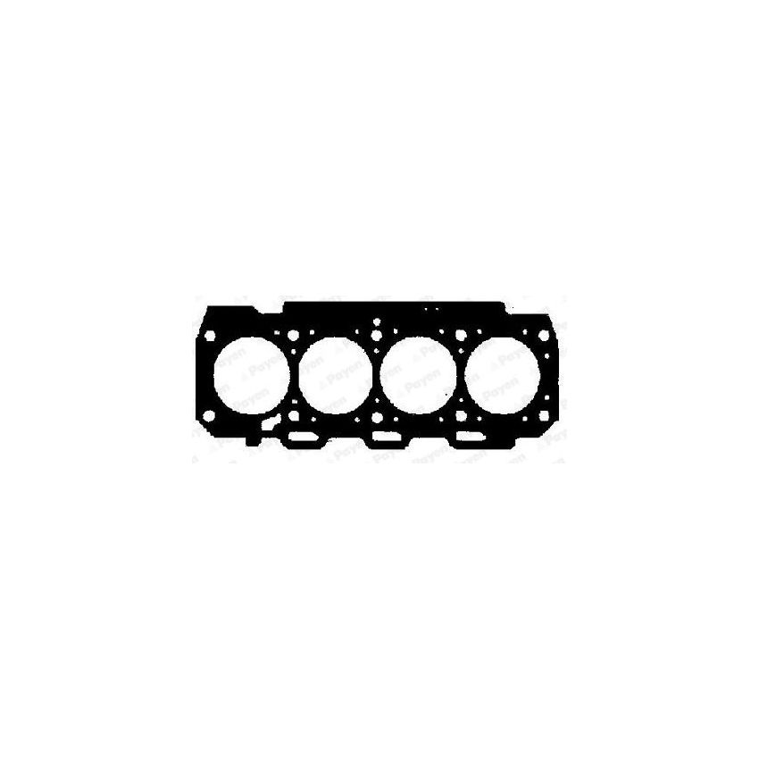 USZCZELKA GŁOWICY PAYEN AA5581 FIAT 1910 99-