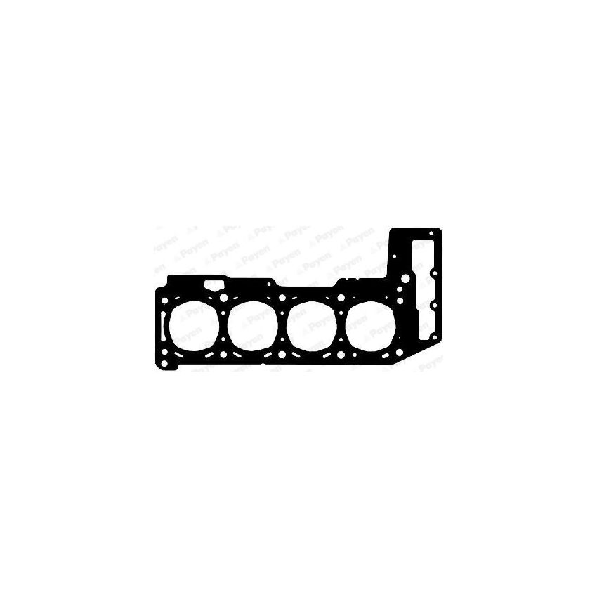 USZCZELKA GŁOWICY PAYEN AG6060 FIAT 3.0JTD 06-