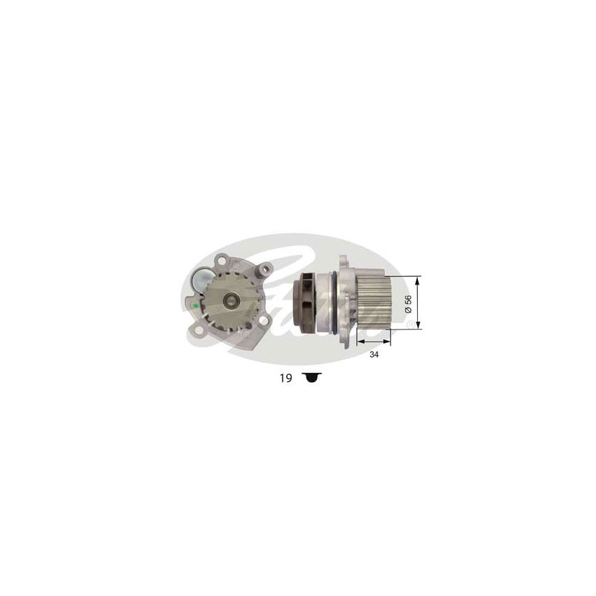 KOMPLET ROZRZĄDU GATES KP55569XS-1 VW 1.9D-2.0D 00-