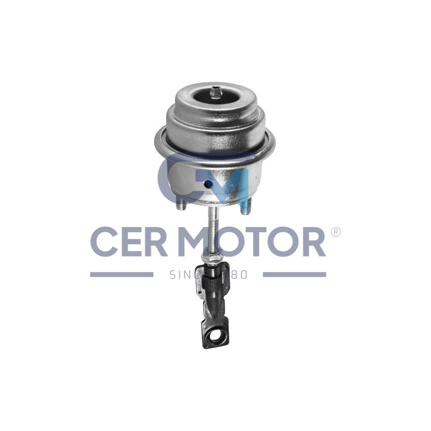 ZAWÓR WASTEGATE TS A2812 R 1.9DCI 01-