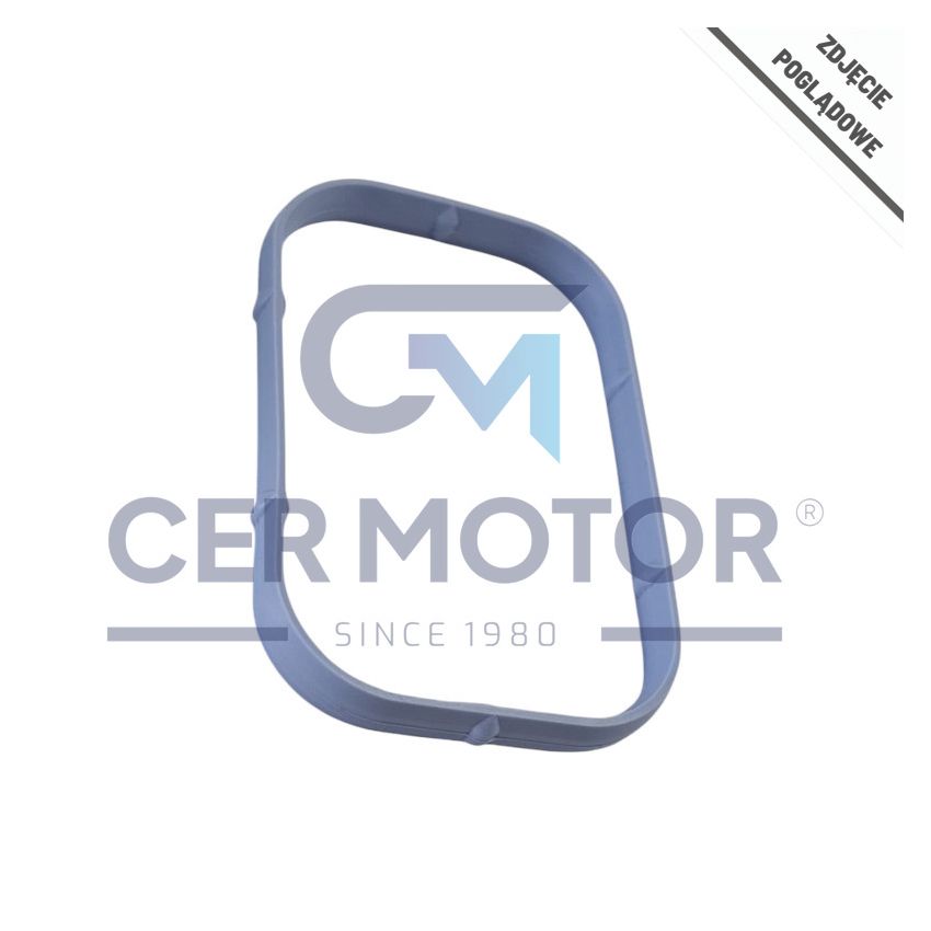 USZCZELKA KOLEKTORA SSĄCEGO GOETZE 5002918600 OPEL 1.2 00-