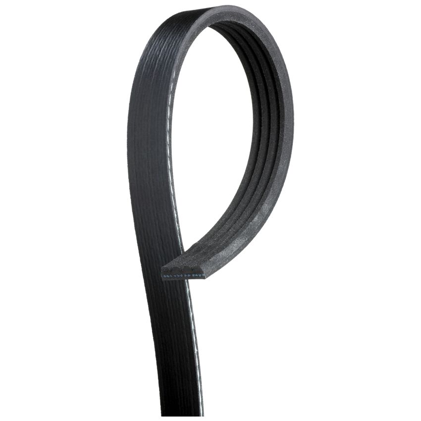 PASEK WIELOROWKOWY DAYCO 4PK905