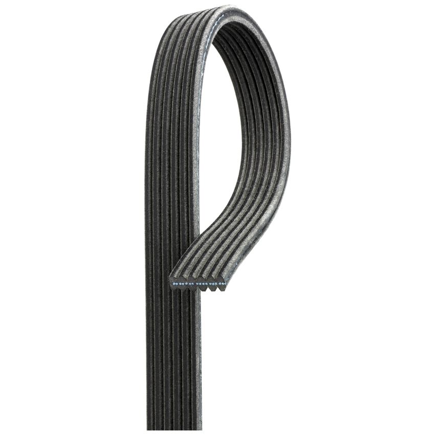 PASEK WIELOROWKOWY DAYCO 6DPK1825 DWUSTRONNY