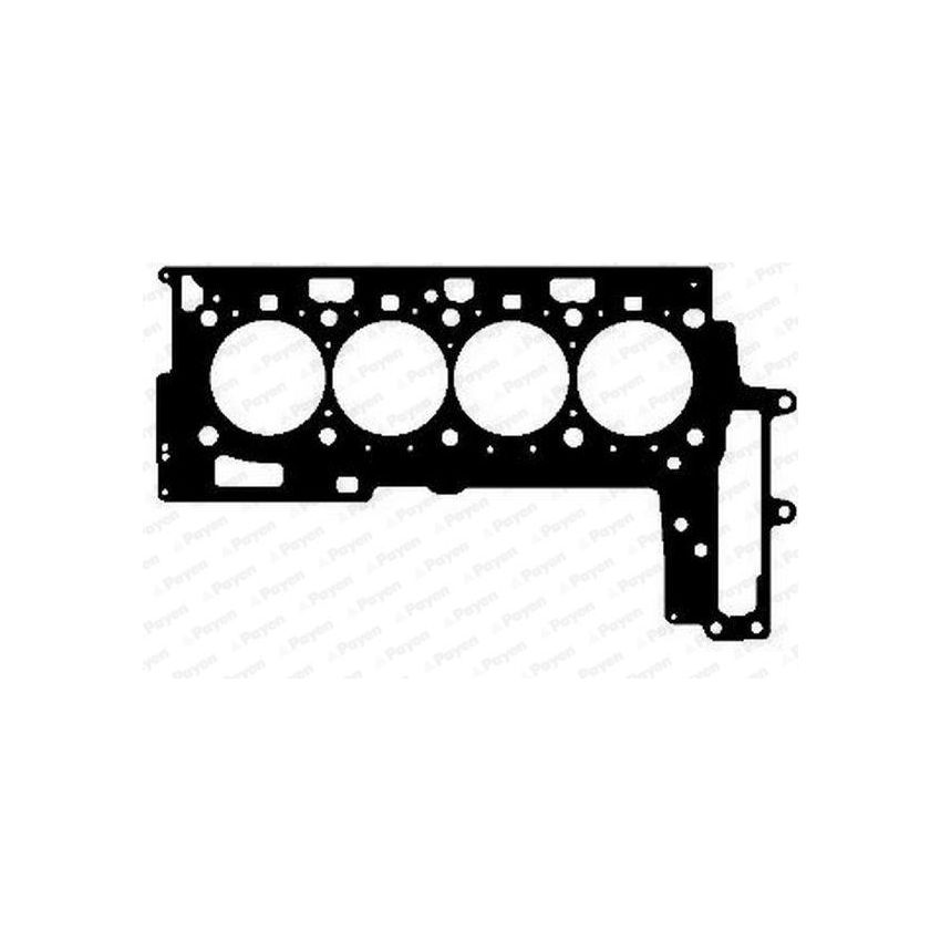 USZCZELKA GŁOWICY PAYEN AG5020 BMW 2.0D 06-