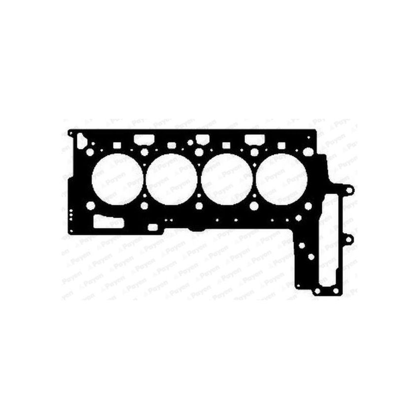 USZCZELKA GŁOWICY PAYEN AG5030 BMW 2.0D 06-